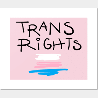 Trans Scribble Flag Posters and Art